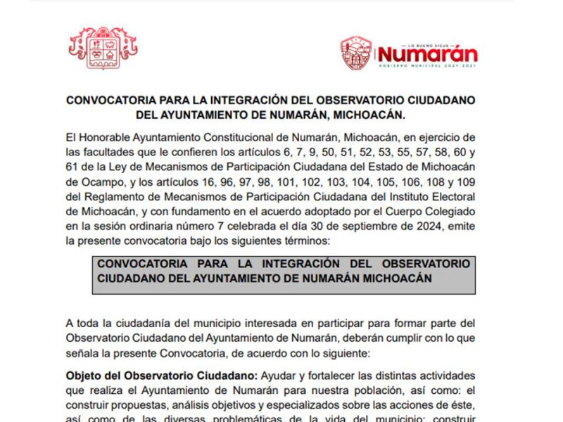 CONVOCATORIA OBSERVATORIO CIUDADANO